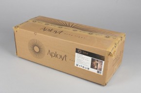 Накладной светильник Aployt Milunia APL.050.01.10 в Приобье - priobie.mebel24.online | фото 8