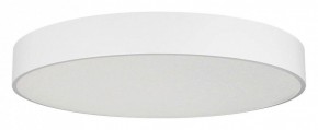 Накладной светильник Arlight TOR PILL 022132(4) в Приобье - priobie.mebel24.online | фото