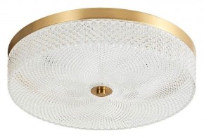 Накладной светильник Arti Lampadari Viro Viro L 1.13.35x9 G в Приобье - priobie.mebel24.online | фото