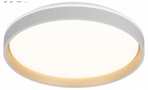 Накладной светильник Citilux ENZO CL753450G в Приобье - priobie.mebel24.online | фото