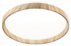 Накладной светильник Citilux ENZO CL753452G в Приобье - priobie.mebel24.online | фото