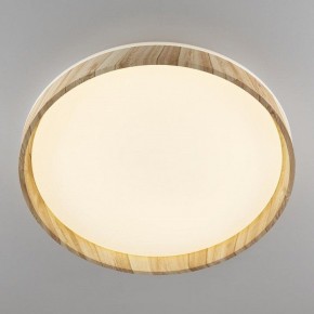 Накладной светильник Citilux ENZO CL753452G в Приобье - priobie.mebel24.online | фото 4