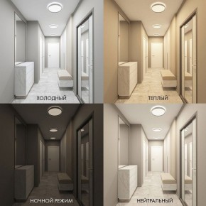 Накладной светильник Denkirs PLATO DK6510-WH в Приобье - priobie.mebel24.online | фото 7