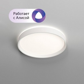 Накладной светильник Denkirs PLATO DK6510-WH/1 в Приобье - priobie.mebel24.online | фото 3