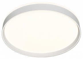 Накладной светильник Denkirs PLATO DK6511-WH/1 в Приобье - priobie.mebel24.online | фото