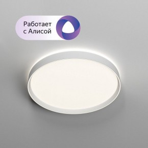 Накладной светильник Denkirs PLATO DK6511-WH/1 в Приобье - priobie.mebel24.online | фото 3