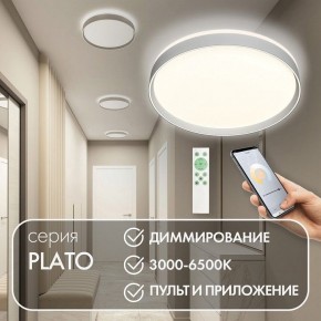 Накладной светильник Denkirs PLATO DK6511-WH/1 в Приобье - priobie.mebel24.online | фото 4