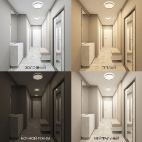 Накладной светильник Denkirs PLATO DK6511-WH/1 в Приобье - priobie.mebel24.online | фото 5