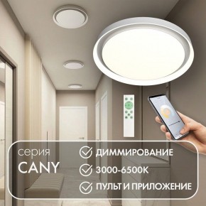 Накладной светильник Denkirs Cany DK6516-WH в Приобье - priobie.mebel24.online | фото 5