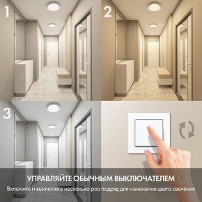 Накладной светильник Denkirs Cany DK6516-WH в Приобье - priobie.mebel24.online | фото 6