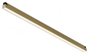 Накладной светильник Denkirs SHINE LINEAR DK5752-SB в Приобье - priobie.mebel24.online | фото
