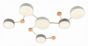 Накладной светильник EVOLUCE Dossena SLE600102-06 в Приобье - priobie.mebel24.online | фото 3