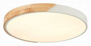 Накладной светильник EVOLUCE Festa SLE200952-01 в Приобье - priobie.mebel24.online | фото 3
