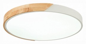 Накладной светильник EVOLUCE Festa SLE200952-01 в Приобье - priobie.mebel24.online | фото 4