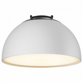 Накладной светильник Maytoni Bowl TR126B-20W3K-W в Приобье - priobie.mebel24.online | фото