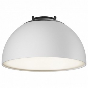 Накладной светильник Maytoni Bowl TR126B-20W4K-W в Приобье - priobie.mebel24.online | фото