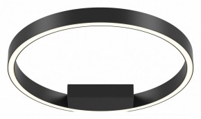 Накладной светильник Maytoni Rim MOD058CL-L25BK в Приобье - priobie.mebel24.online | фото