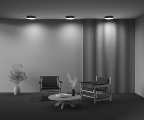 Накладной светильник Maytoni Zon C032CL-36W4K-RD-B в Приобье - priobie.mebel24.online | фото 10