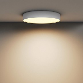 Накладной светильник Maytoni Zon C032CL-45W2.7K-RD-W в Приобье - priobie.mebel24.online | фото 4