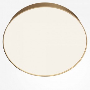 Накладной светильник Maytoni Zon C032CL-45W4K-RD-MG в Приобье - priobie.mebel24.online | фото 2
