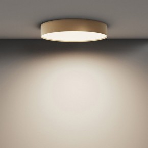 Накладной светильник Maytoni Zon C032CL-45W4K-RD-MG в Приобье - priobie.mebel24.online | фото 4