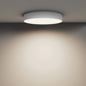 Накладной светильник Maytoni Zon C032CL-45W4K-RD-W в Приобье - priobie.mebel24.online | фото 4