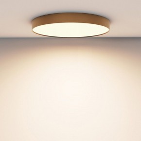 Накладной светильник Maytoni Zon C032CL-90W3K-RD-MG в Приобье - priobie.mebel24.online | фото 4