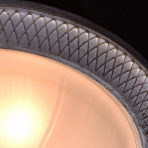 Накладной светильник MW-Light Ариадна 450013603 в Приобье - priobie.mebel24.online | фото 9