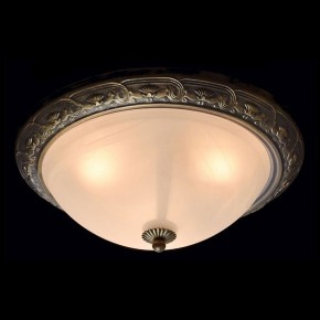 Накладной светильник MW-Light Ариадна 450015703 в Приобье - priobie.mebel24.online | фото 2