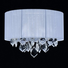 Накладной светильник MW-Light Жаклин 14 465015904 в Приобье - priobie.mebel24.online | фото 3