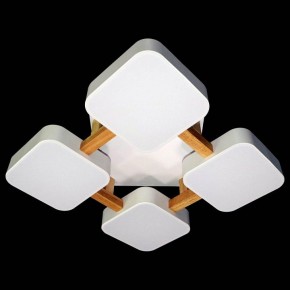 Накладной светильник Natali Kovaltseva 2132 LED LAMPS 81323 в Приобье - priobie.mebel24.online | фото