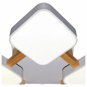 Накладной светильник Natali Kovaltseva 2132 LED LAMPS 81323 в Приобье - priobie.mebel24.online | фото 4