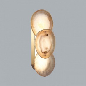 Накладной светильник Odeon Light Agate 7065/10WL в Приобье - priobie.mebel24.online | фото 2