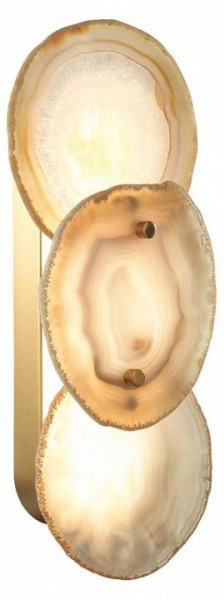 Накладной светильник Odeon Light Agate 7065/10WL в Приобье - priobie.mebel24.online | фото 3