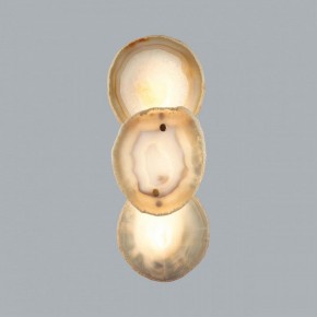 Накладной светильник Odeon Light Agate 7065/10WL в Приобье - priobie.mebel24.online | фото 4