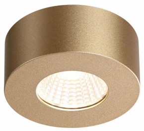 Накладной светильник Odeon Light Bene 4284/7CL в Приобье - priobie.mebel24.online | фото 4