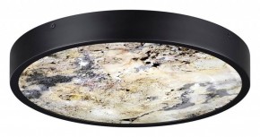 Накладной светильник Odeon Light Bergi 5064/30L в Приобье - priobie.mebel24.online | фото 4