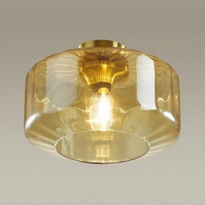 Накладной светильник Odeon Light Binga 4747/1C в Приобье - priobie.mebel24.online | фото 2