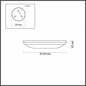 Накладной светильник Odeon Light Pelow 4956/4 в Приобье - priobie.mebel24.online | фото 3