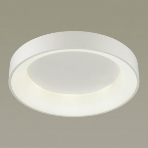 Накладной светильник Odeon Light Sole 4062/50CL в Приобье - priobie.mebel24.online | фото 2