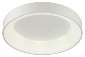 Накладной светильник Odeon Light Sole 4062/50CL в Приобье - priobie.mebel24.online | фото 3