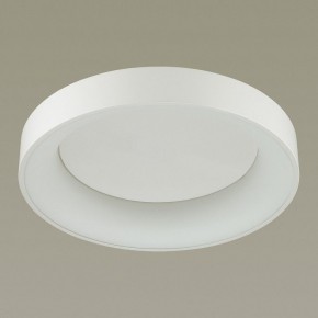 Накладной светильник Odeon Light Sole 4062/50CL в Приобье - priobie.mebel24.online | фото 4