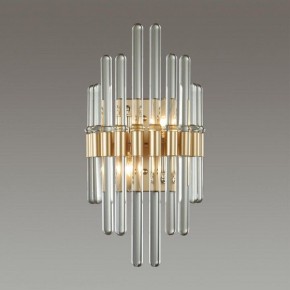 Накладной светильник Odeon Light Stika 4988/2W в Приобье - priobie.mebel24.online | фото 2