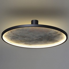 Накладной светильник Odeon Light Stoflake 5078/55L в Приобье - priobie.mebel24.online | фото 8