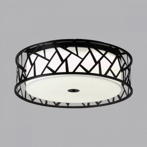 Накладной светильник Sonex Fabiana 7700/60L в Приобье - priobie.mebel24.online | фото 4