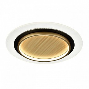 Накладной светильник Sonex Sunny 7731/80L в Приобье - priobie.mebel24.online | фото 4