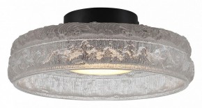 Накладной светильник ST-Luce ANTIKE SL6143.402.01 в Приобье - priobie.mebel24.online | фото 2