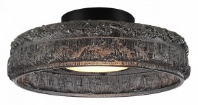 Накладной светильник ST-Luce ANTIKE SL6143.412.01 в Приобье - priobie.mebel24.online | фото 2