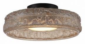 Накладной светильник ST-Luce ANTIKE SL6143.422.01 в Приобье - priobie.mebel24.online | фото 3