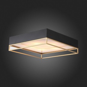 Накладной светильник ST-Luce Chodo SL1127.422.05 в Приобье - priobie.mebel24.online | фото 5
